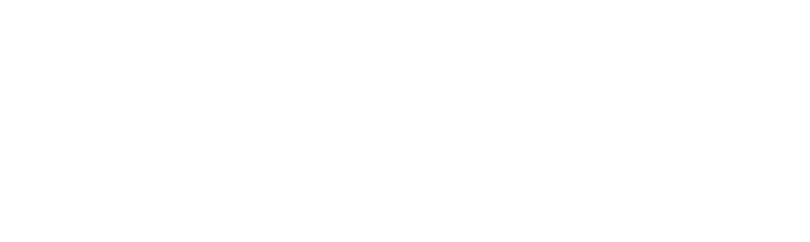 Esr Car Rental